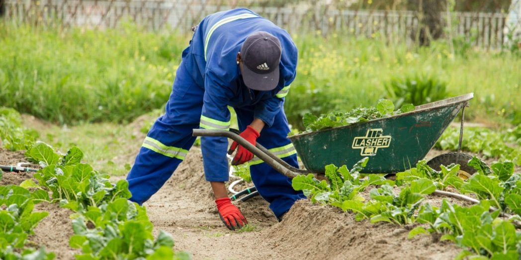 how to make money on 10 acres farming